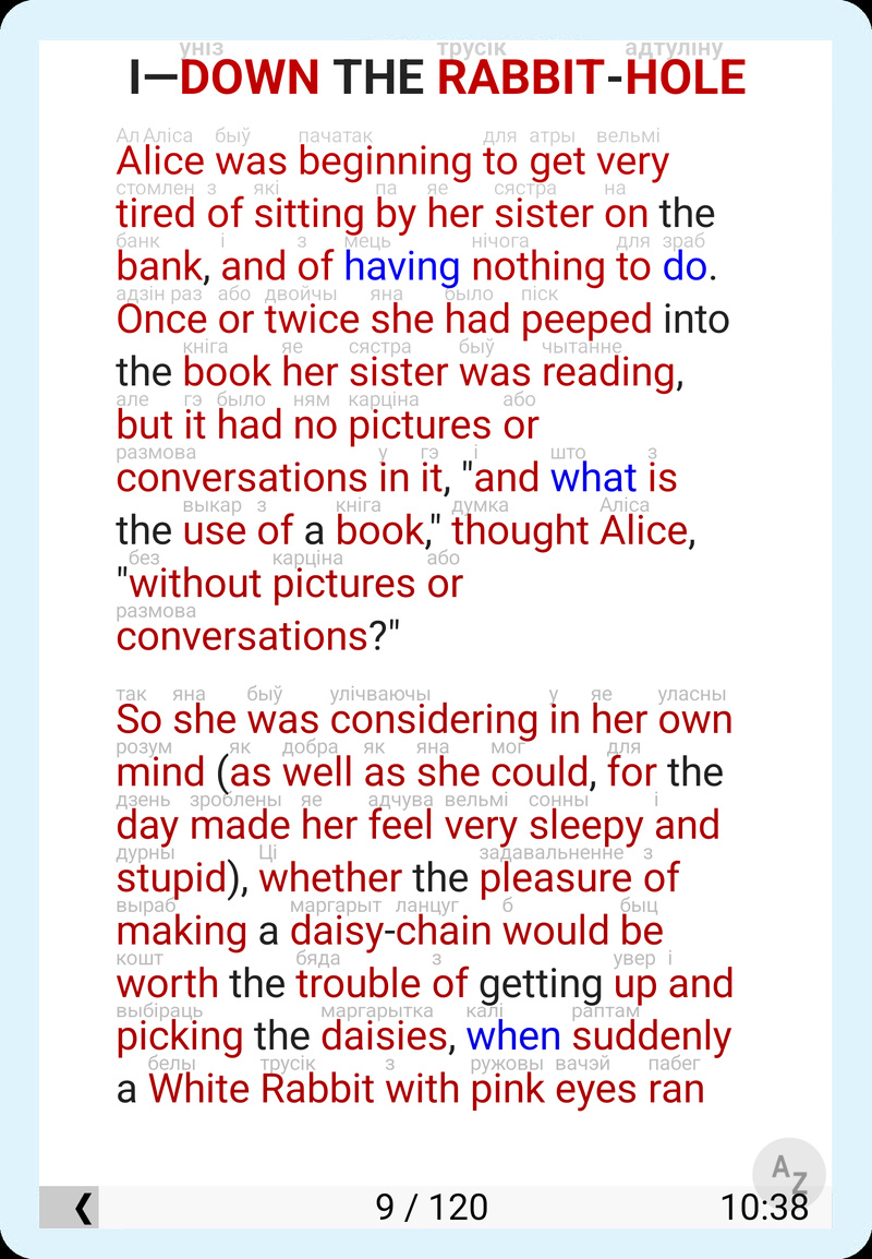 pimReader Book Reader