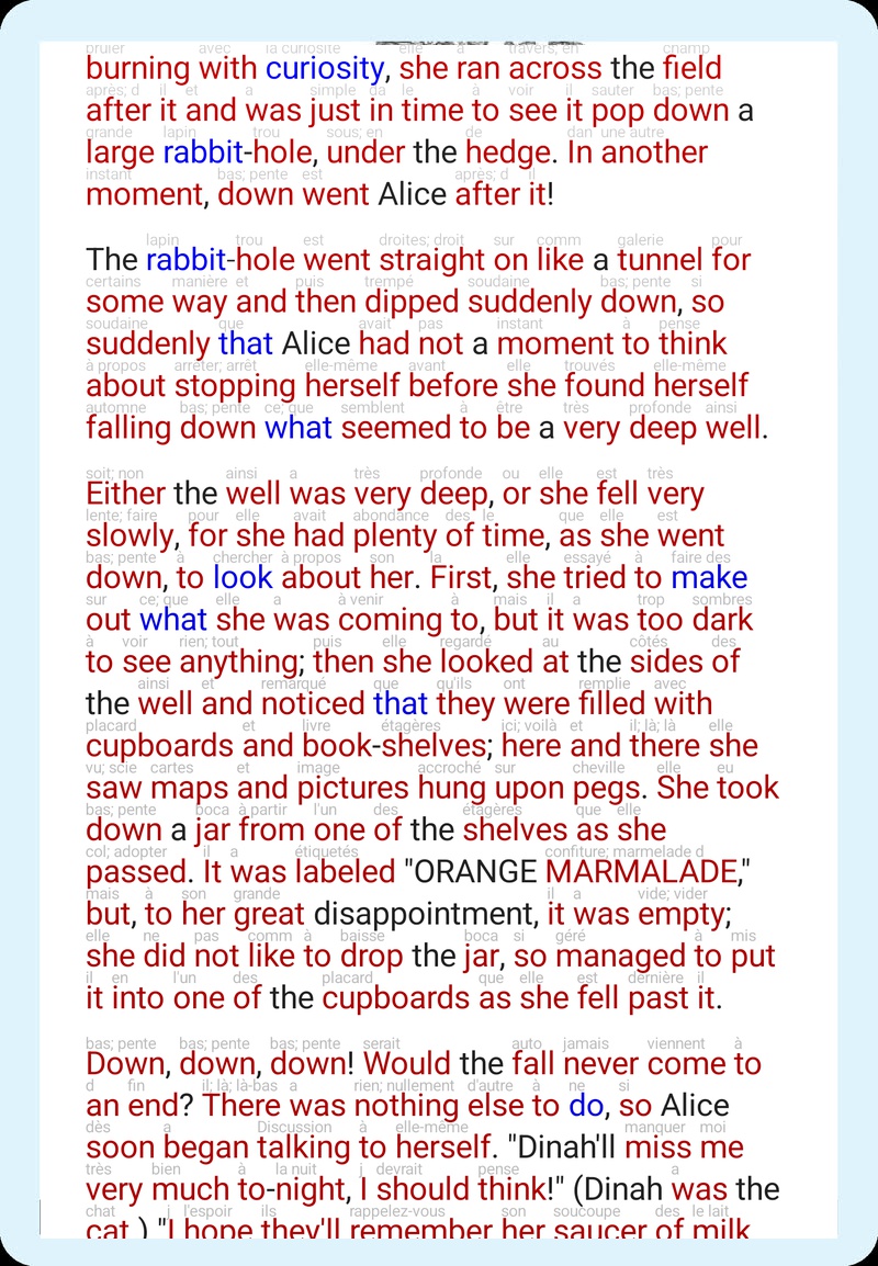 pimReader Book Reader